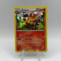 Emboar holo (BLW 19)
Black & White #0223
