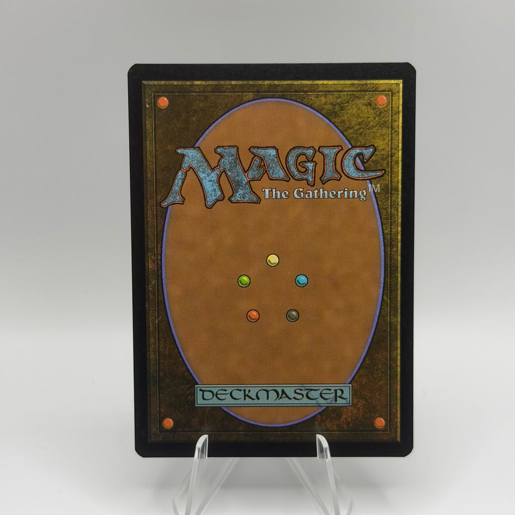 Woodland Stream - Core Set 2019 (M19) #0405