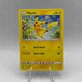 Pikachu (HIF 19)
Hidden Fates #0230