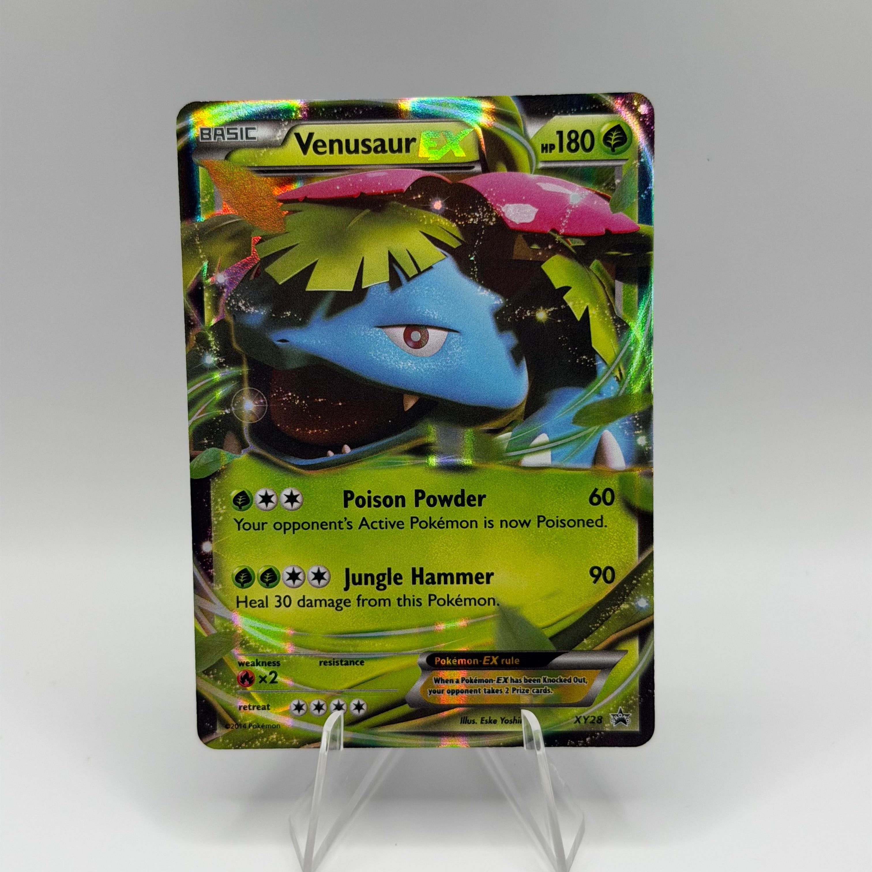 Venusaur EX (XYPR 28)
XY Black Star Promos #0214