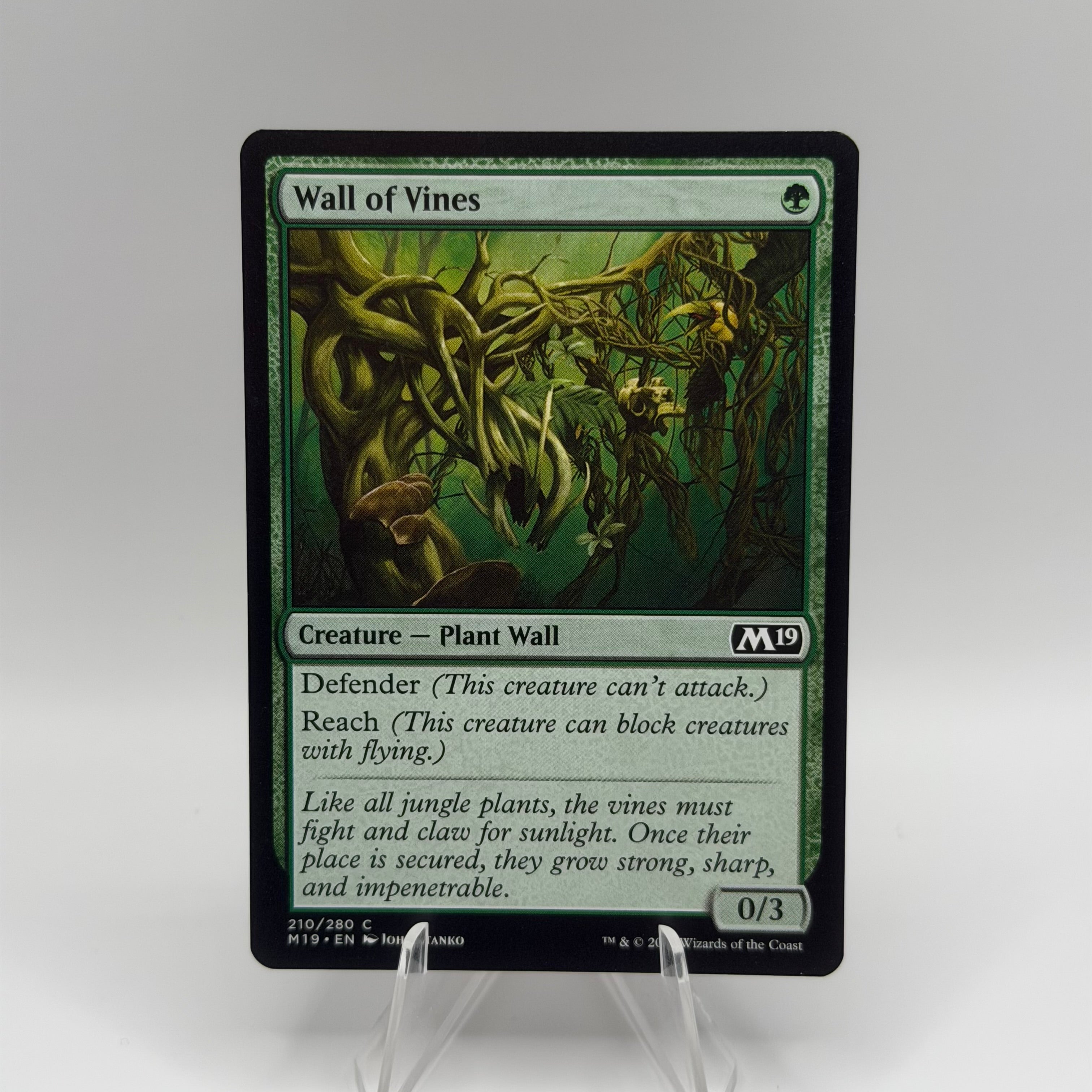 Wall of Vines - Core Set 2019 (M19) #0398