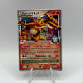 Charizard [G] LV.X (DPPR 45)
DP Black Star Promos #0216