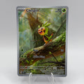 Chespin (CRI 087)
Chaos Rising #0200