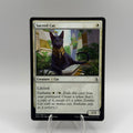 Sacred Cat - Amonkhet (AKH) #0366