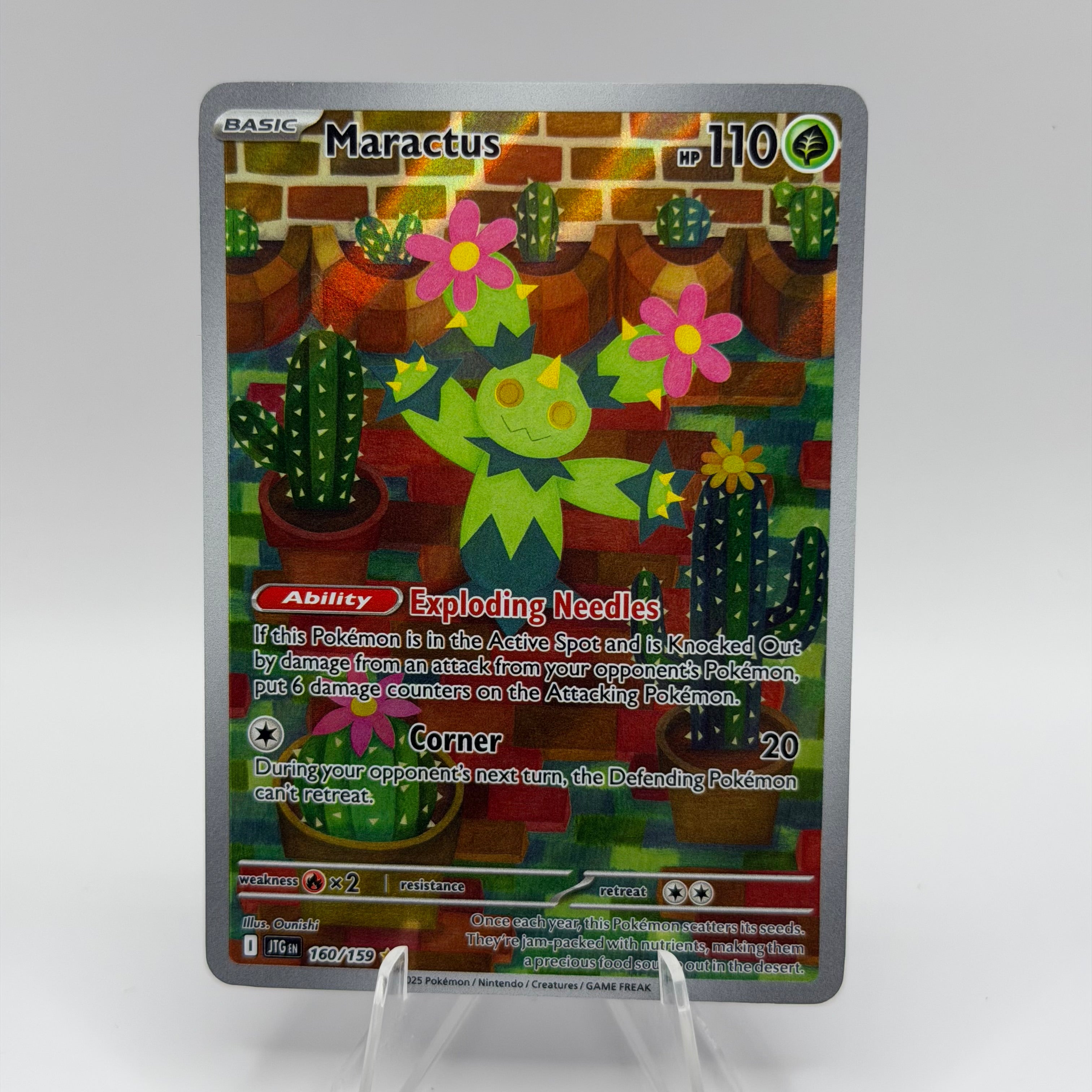 Maractus (JTG 160)
Journey Together #0176